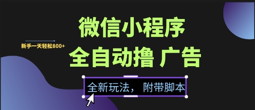 微信小程序全自动撸广告项目，彻底解决没流量的问题，新手一天8张+【揭秘】-大兵轻创资源库