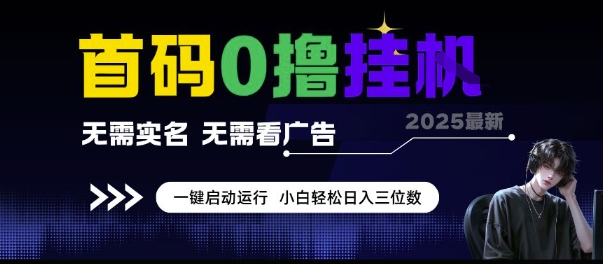 首码0撸挂G项目，无需实名无需看广告 一键启动运行，小白轻松日入三位数【揭秘】-大兵轻创资源库