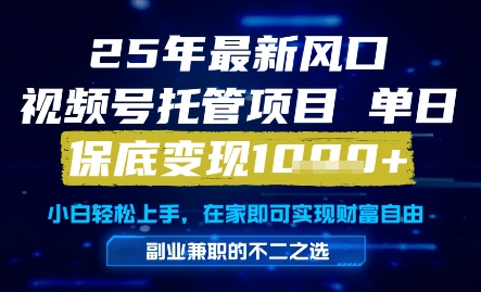 25年最新风口，视频号托管项目，单日保底变现1k+，手把手教学【揭秘】-大兵轻创资源库