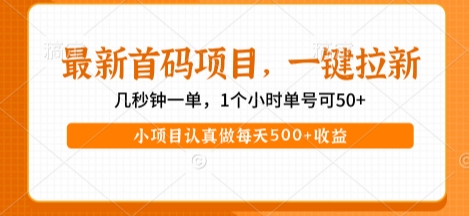 最新首码项目，操作最简单，收益高，一键拉新，1个小时单号可50+，小项目认真做每天5张+收益【揭秘】-大兵轻创资源库