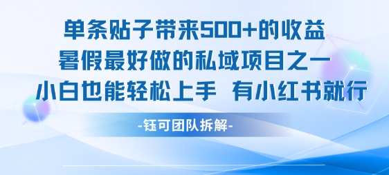 单条贴子带来5张的收益，暑假最好做的私域项目之一，小白也能轻松上手，有小红书就行-大兵轻创资源库