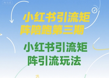 小红书引流矩阵陪跑第三期，小红书引流矩阵引流玩法-大兵轻创资源库
