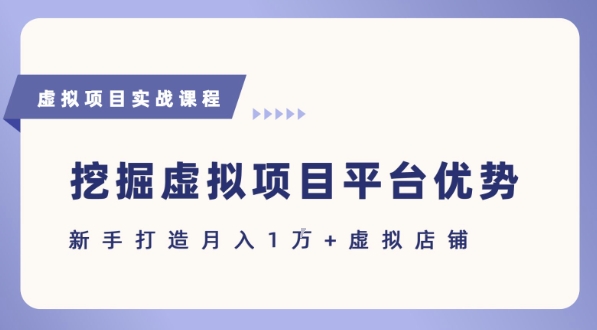 抓住虚拟项目各平台优势，新手轻松月入1W+(给出具体建议)-大兵轻创资源库