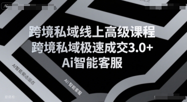 跨境私域线上高级课程，跨境私域极速成交3.0+Ai智能客服-大兵轻创资源库