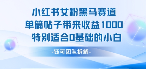 小红书女粉黑马赛道单篇帖子带来收益1k+，特别适合0基础的小白-大兵轻创资源库