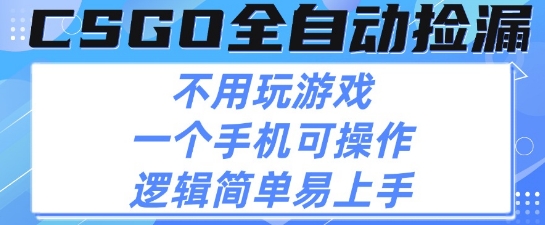 CSGO自动捡漏项目，最新独家玩法，不用挂G不用玩游戏，一个手机即可操作，新手小白轻松月入1W+【揭秘】-大兵轻创资源库