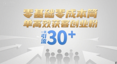 零基础零成本简单高效获客创业粉，一天引流30+-大兵轻创资源库