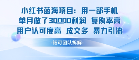 小红书蓝海项目，一部手机单月做了3W利润，小白也能月入过1W用户认可度高成交多-大兵轻创资源库