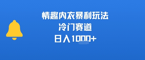 情趣内衣暴利玩法，冷门赛道，日入1k+-大兵轻创资源库