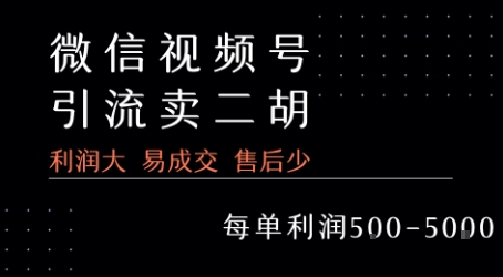 视频号卖二胡教程，利润大 易成交 售后少，一单利润5张+-大兵轻创资源库