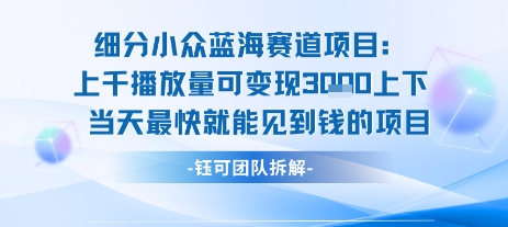 小众蓝海赛道项目：当天变现1k+适合新手操作 +适合长期玩-大兵轻创资源库