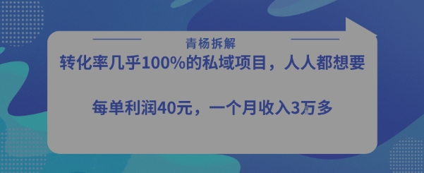 转化率最高的私域项目，每单利润40-50米，月入过1w-大兵轻创资源库