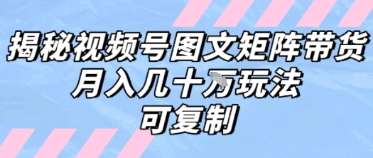 解密视频号图文矩阵带货，月入几个W的打法，可复制-大兵轻创资源库