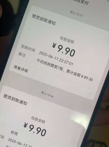 二次元男粉快速变现项目，私域卖虚拟产品，百分利润-大兵轻创资源库