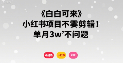 小白可来 小红书项目不需要剪辑 单月3w不是问题-大兵轻创资源库