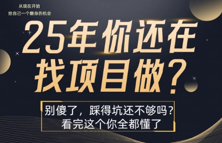 25年，你还在疯狂的找项目吗？别傻了，看完这个你都懂了【揭秘】-大兵轻创资源库