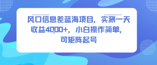 风口信息差蓝海项目，实测一天收益4k+，小白操作简单，可矩阵起号-大兵轻创资源库