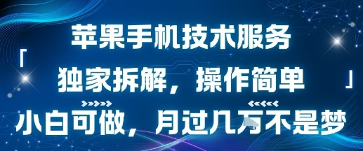 苹果手机技术服务，独家拆解，操作简单，小白可做，月过1W不是梦-大兵轻创资源库