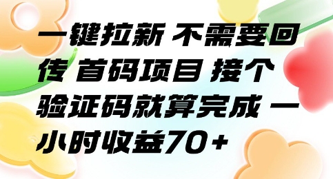 一键拉新 不需要回传 首码项目 接个验证码就算完成 一小时收益70+【揭秘】-大兵轻创资源库