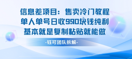 信息差项目：售卖冷门教程单人单号日收9张纯利基本就是复制粘贴就能做-大兵轻创资源库