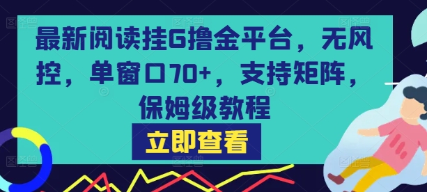 最新阅读挂G撸金平台，无风控，单窗口70+，支持矩阵，保姆级教程【揭秘】-大兵轻创资源库
