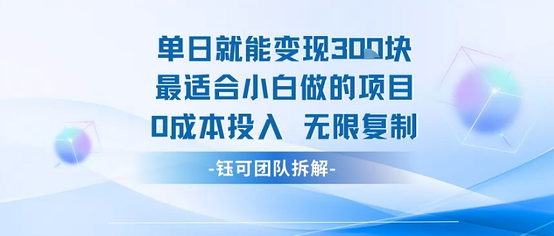 单日就能变现3张最适合小白做的项目0成本投入 无限复制-大兵轻创资源库