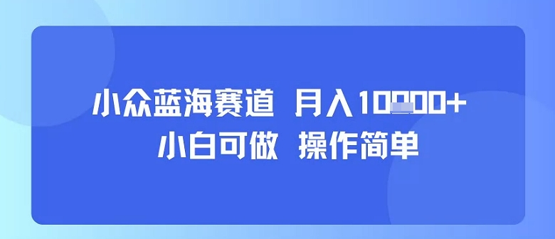 小众蓝海赛道，小白可做，操作简单，每天30分钟，月入1W+-大兵轻创资源库