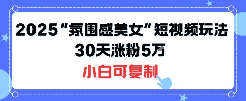 不露脸也能火！2025“氛围感美女”短视频玩法，30天涨粉5W小白可复制-大兵轻创资源库