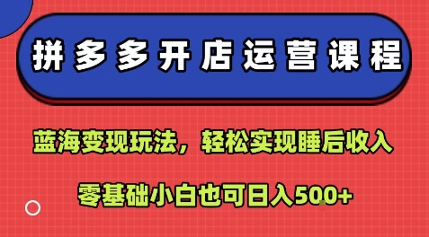 拼多多开店运营课程：蓝海变现玩法，轻松实现睡后收入，零基础小白也可日入5张-大兵轻创资源库