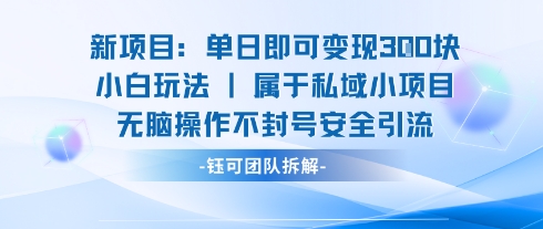 新项目单日即可变现3张的小白玩法无脑操作不封号安全引流-大兵轻创资源库