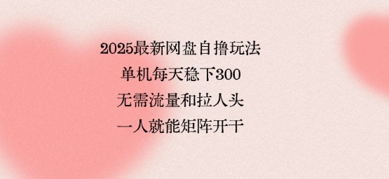 2025最新网盘自撸玩法，单机每天稳下3张，无需流量和拉人头，一个人就可轻松矩阵，全网独一份【揭秘】-大兵轻创资源库