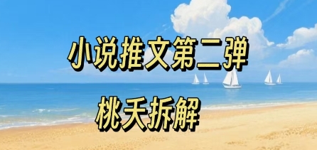 小说推文项目操作全流程第二弹，0粉就能做，门槛低非常适合新手-大兵轻创资源库