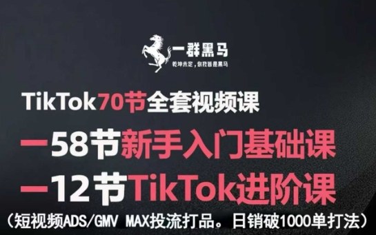 TikTok全套视频课，新手入门+进阶课，短视频ADS-GMV MAX投流打品，日销破1000单打法-大兵轻创资源库