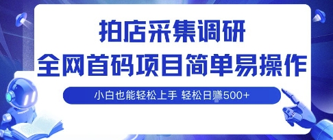 拍店采集调研，全网首码项目，简单易操作， 小白也能轻松上手，多账号操作，轻松日入5张【揭秘】-大兵轻创资源库