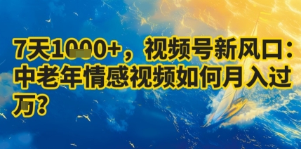7天收益1k+，视频号新风口：中老年情感视频如何月入过W?-大兵轻创资源库