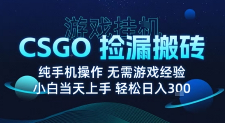 8月最新游戏搬砖，CSGO纯挂G，不需要玩游戏，实现真挂G，月入1W+【揭秘】-大兵轻创资源库