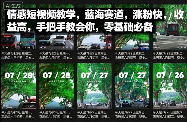 情感短视频教学，蓝海赛道，涨粉快，收益高，手把手教会你，零基础必备-大兵轻创资源库