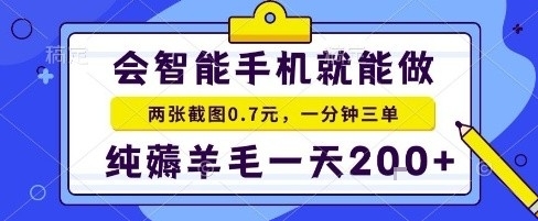 手机项目，二十秒一单，纯薅羊毛一天2张+做就有【揭秘】-大兵轻创资源库