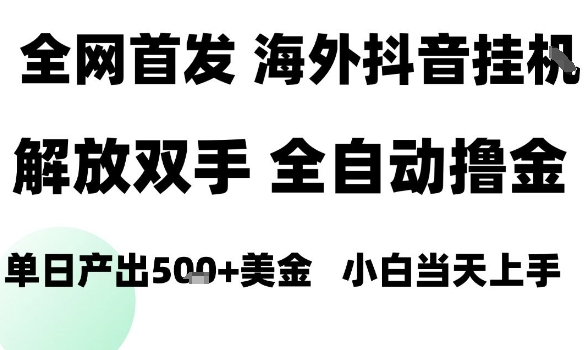 海外抖音无人直播，单日产出1.5k+，长期稳定，新手可玩，无脑操作【揭秘】-大兵轻创资源库