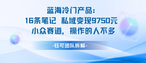 蓝海项目：16条笔记私域变现9750米小众赛道操作的人不多-大兵轻创资源库