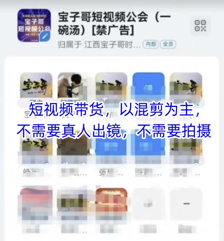 宝子哥头部团队短视频带货，以混剪为主，不需要真人出镜，不需要拍摄【更新8月】-大兵轻创资源库