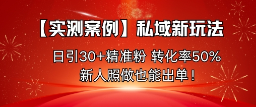 【实测案例】私域新玩法，日引30+精准粉，转化率50%，新人照做也能出单！-大兵轻创资源库
