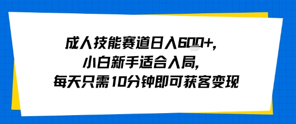 成人技能赛道日入多张，小白新手适合入局，每天只需10分钟即可获客变现-大兵轻创资源库