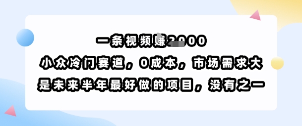 一条视频挣1k，小众冷门赛道，0成本，市场需求大，是未来半年最好做的项目，没有之一-大兵轻创资源库