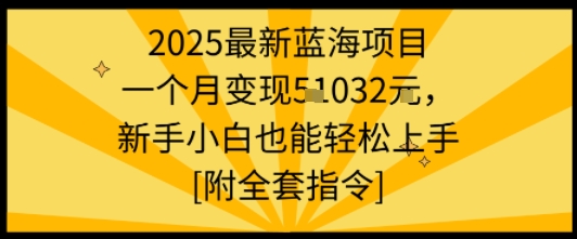 2025最新蓝海项目一个月变现1w+新手小白也能轻松上手【附全套指令】-大兵轻创资源库