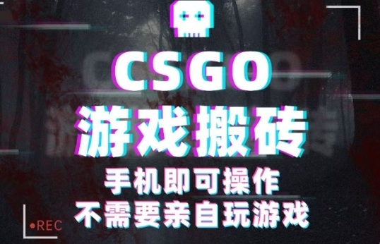 CSGO游戏挂G捡漏，单日扫货5张+，年底小高峰上车可吃肉，手机即可操作，兼职副业创业网创【揭秘】-大兵轻创资源库