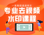 专业去视频水印教程 静态水印、动态水印、文字水印、图片水印一套教程通通搞定-大兵轻创资源库