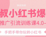 狼叔小红书爆款推广引流训练课4.0,手把手带你玩转小红书-大兵轻创资源库