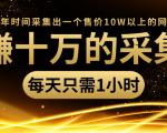 年赚十万的采集站，每天却只需要1小时，一年时间采集出一个售价10W以上的网站-大兵轻创资源库