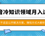 抖音冷知识领域月入过万项目,不适宜公开解决方案 ,抖音赚钱方式大解析!-大兵轻创资源库